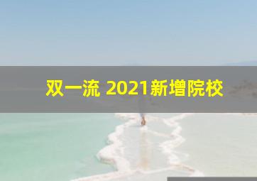 双一流 2021新增院校